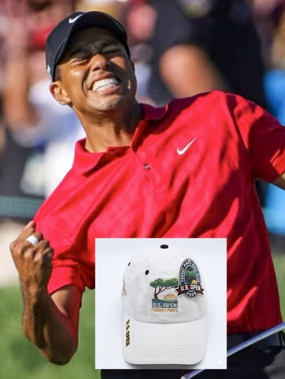 VINTAGE 2008 US Open Torrey Pines Golf Hat NWT Limited Edition Tiger Woods 108th